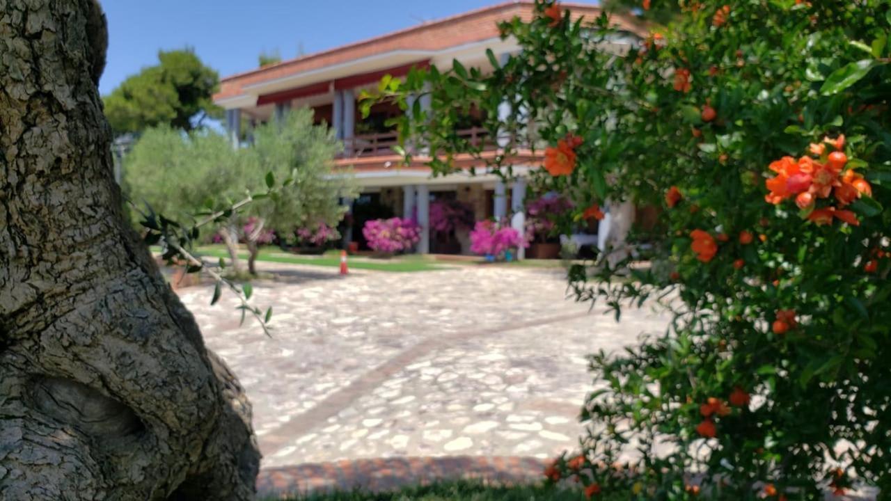 Shëngjin Hotel Brifs מראה חיצוני תמונה