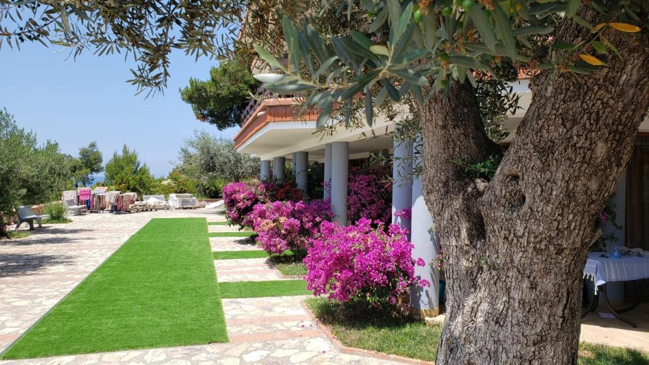 Shëngjin Hotel Brifs מראה חיצוני תמונה