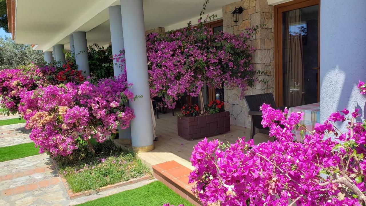 Shëngjin Hotel Brifs מראה חיצוני תמונה