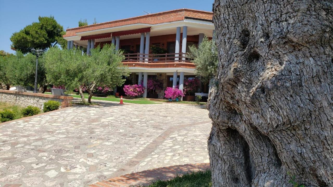 Shëngjin Hotel Brifs מראה חיצוני תמונה