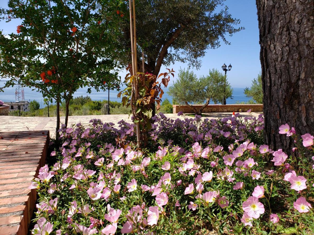 Shëngjin Hotel Brifs מראה חיצוני תמונה